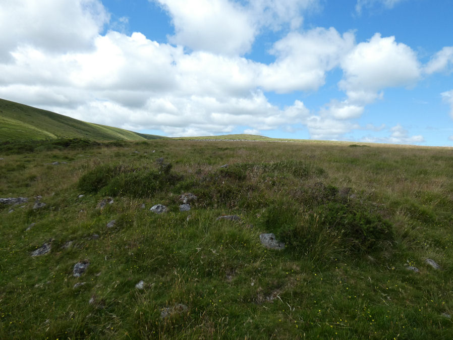 Rowtor Brook 2 Cairn