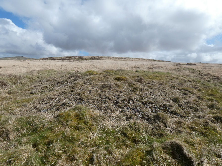 White Hill S.W.2 Cairn