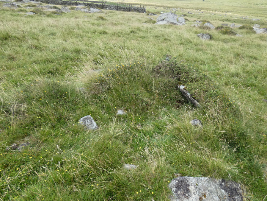 Yellowmeade 2 Reported Cist