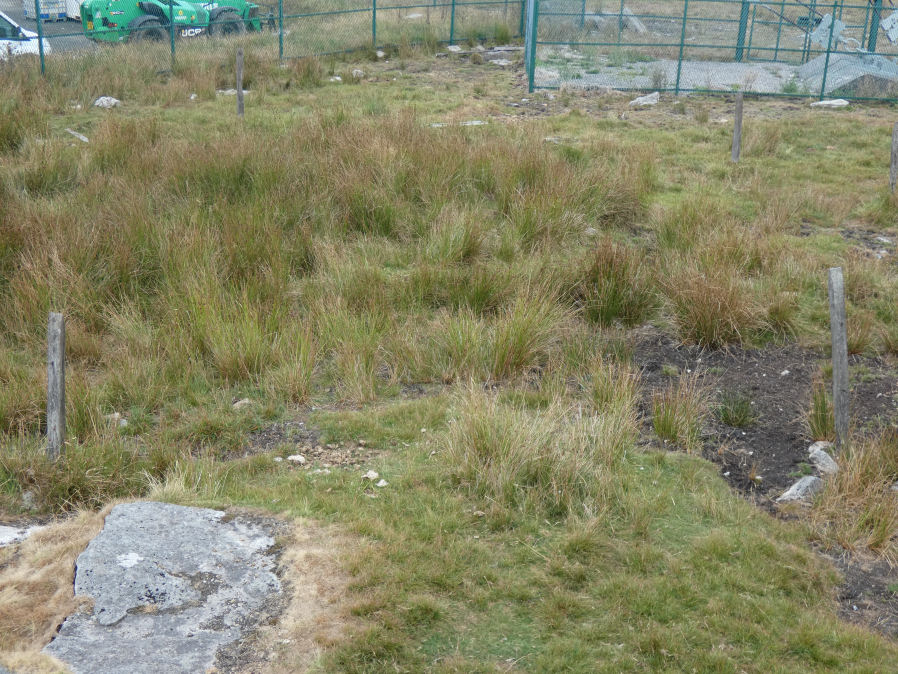 North Hessary Tor 1 Cairn