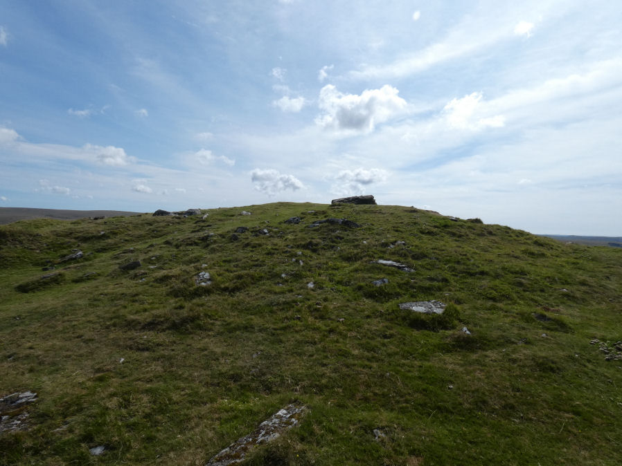 Peek Hill Summit 1 Cairn