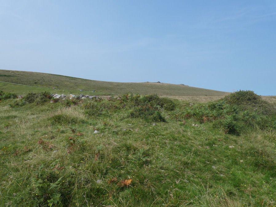 Black Tor 1 stone row Cairn