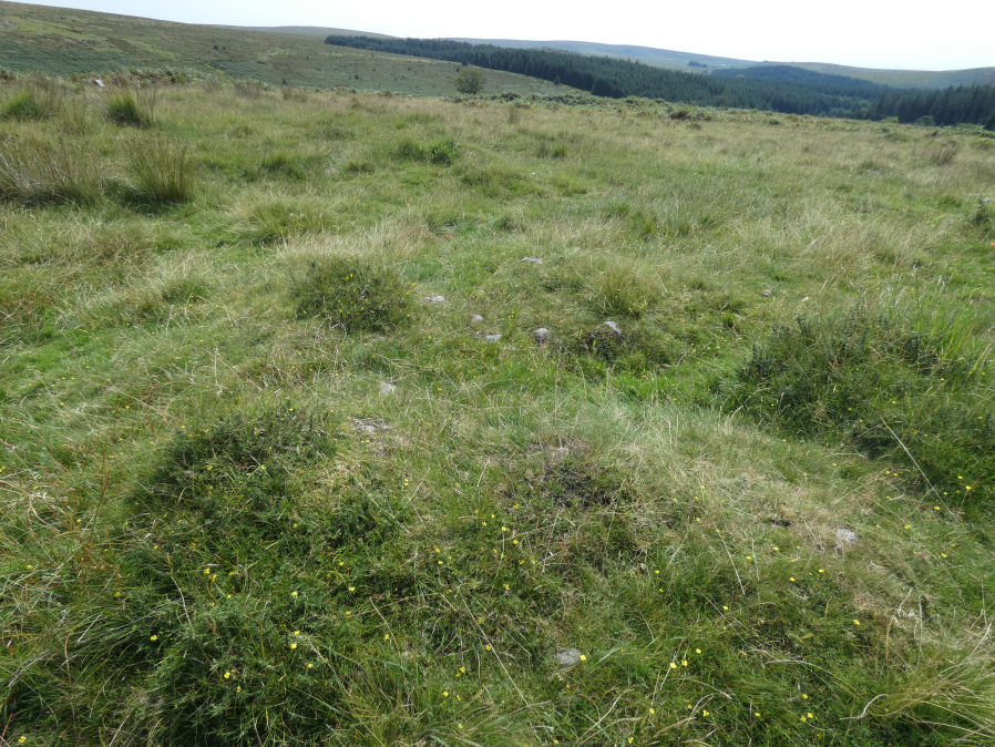 Black Tor 2 Cairn