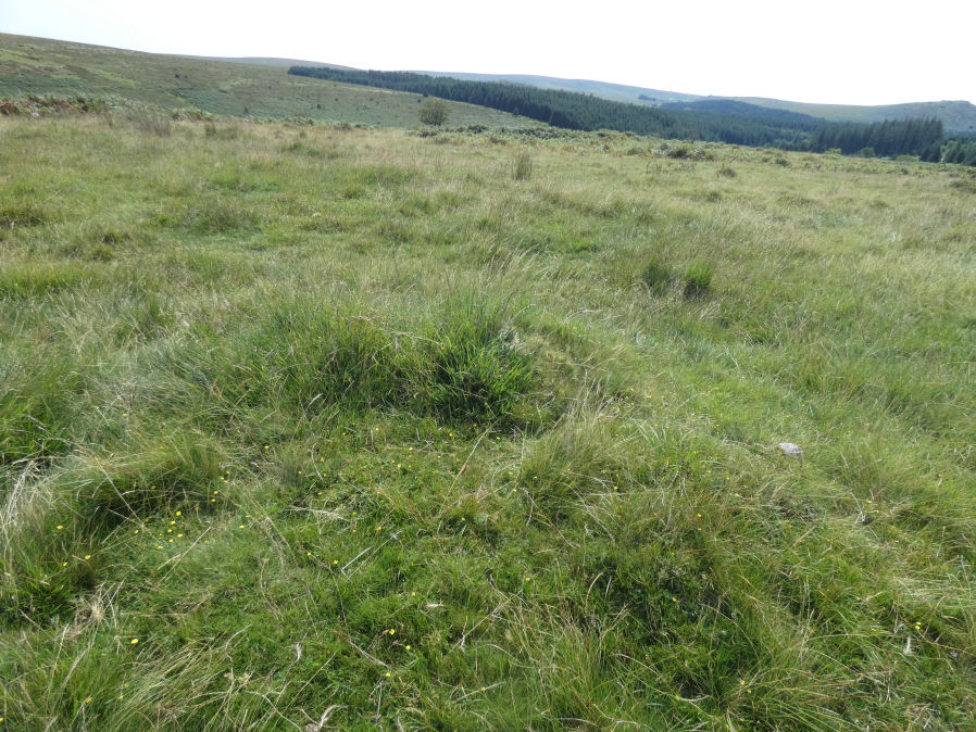 Black Tor 3 Cairn