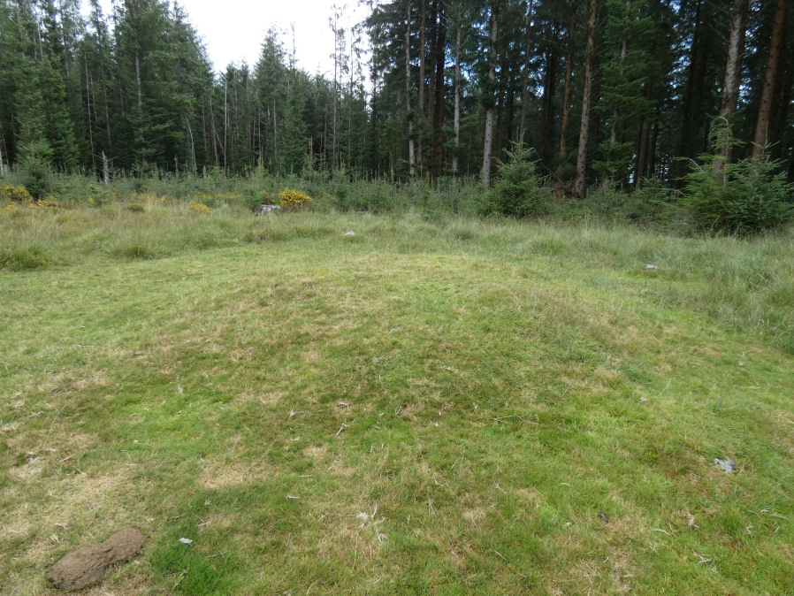 Fernworthy E. Encircled Cairn