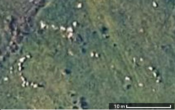 Rook Tor Cairn Circle