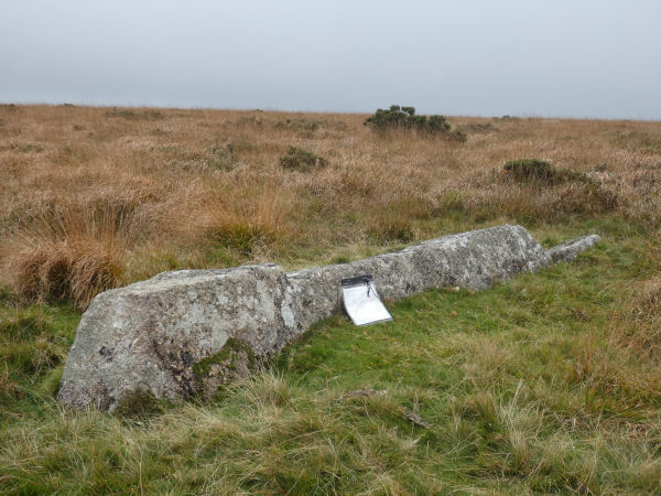 Beacon Plain B Standing Stone
