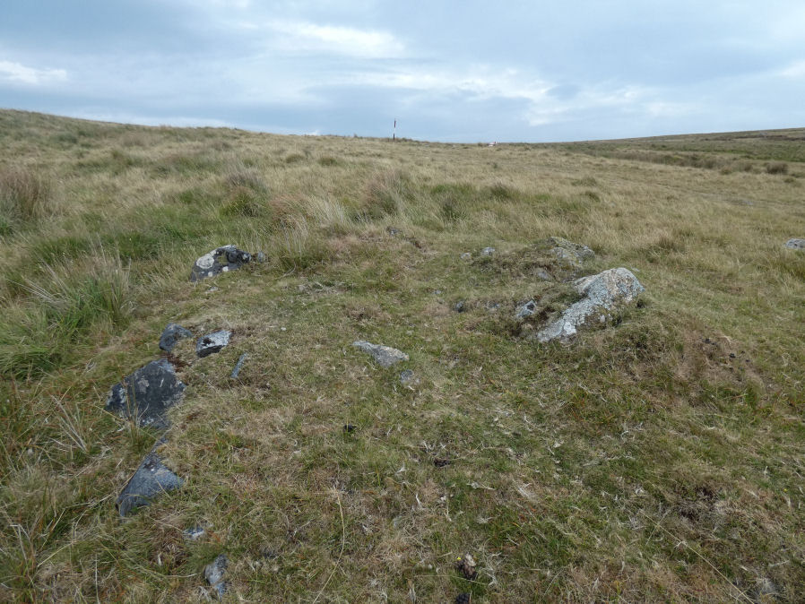 Langstone Moor 5 Clearance Cairn