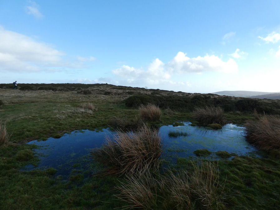Easdon B Ancient Pool