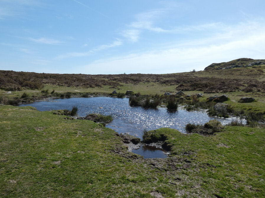 Saddle Tor B Ancient Pool