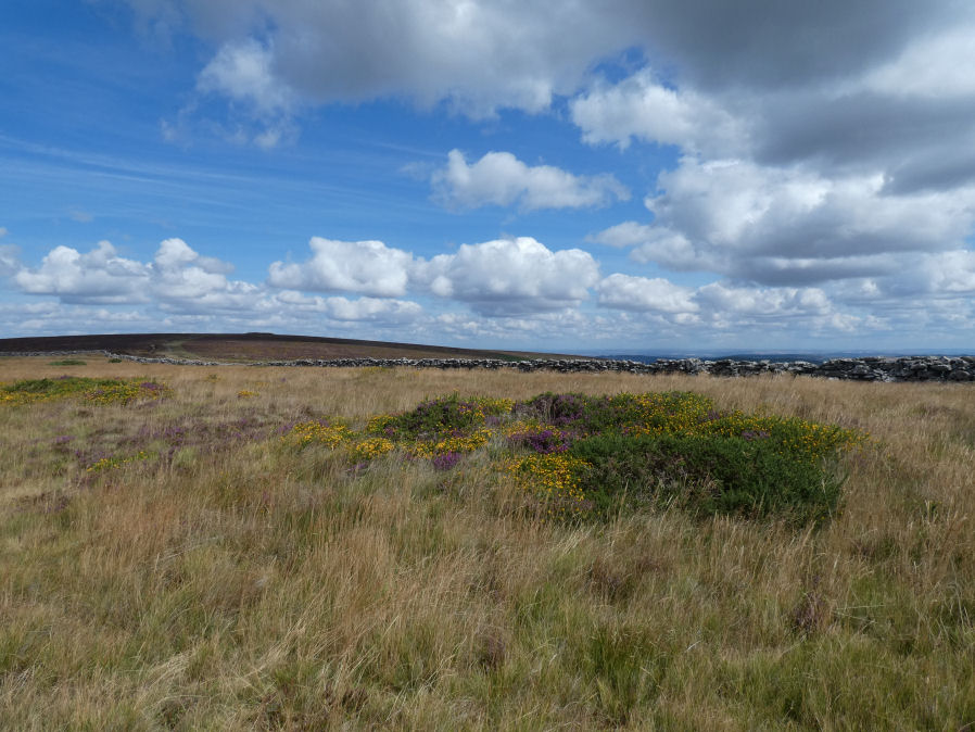 Blackaton Down S. Cairn
