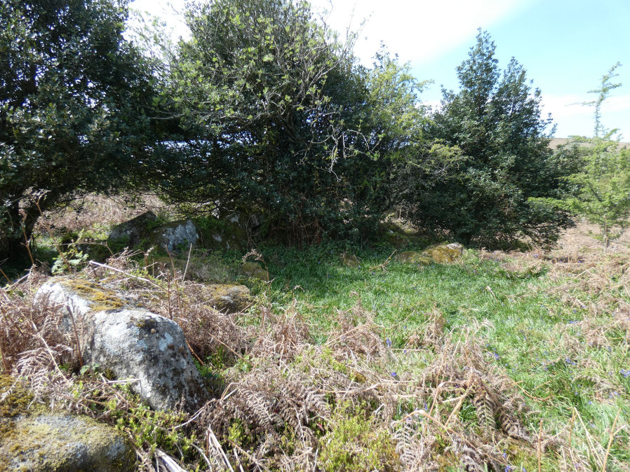 Hayne Down Round House