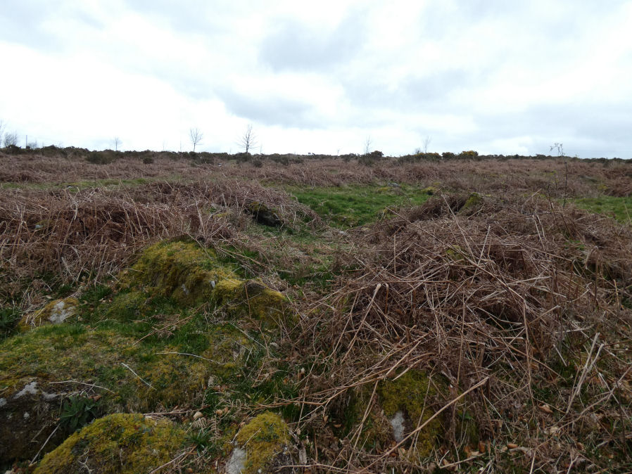 Heatree Down Round House