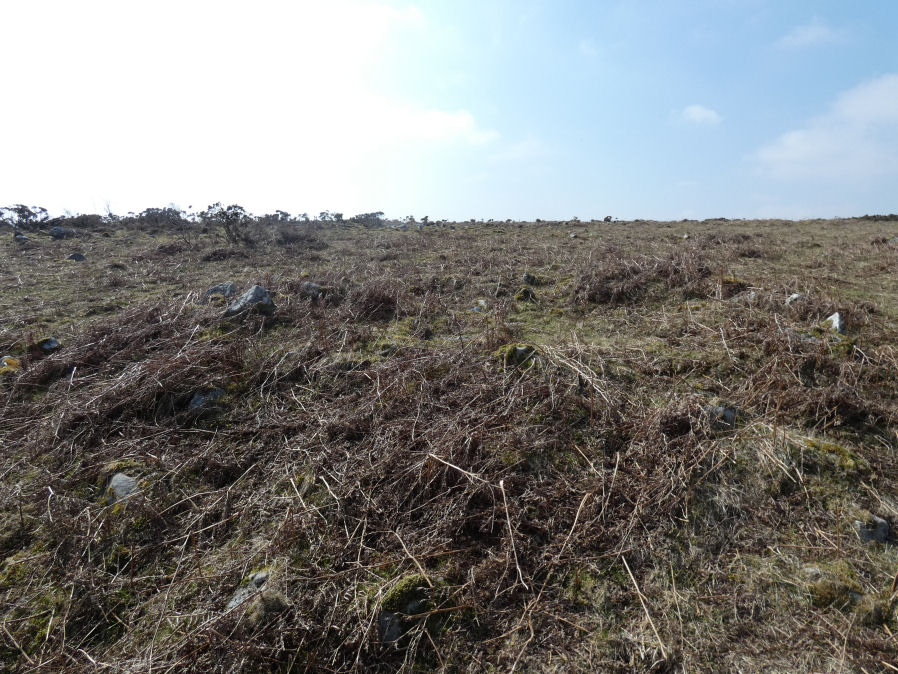 Throwleigh Common Round House