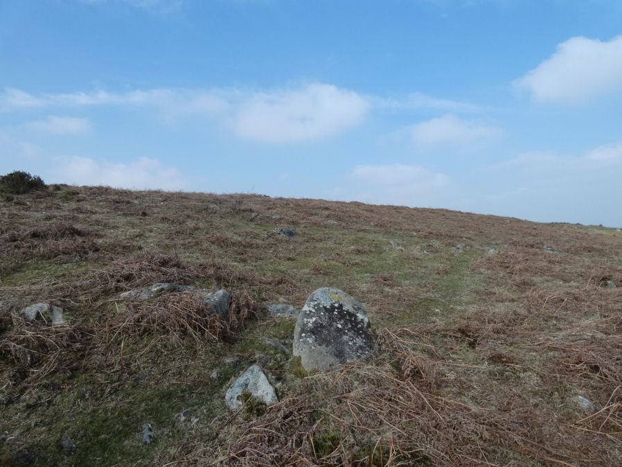 Throwleigh Common Round House