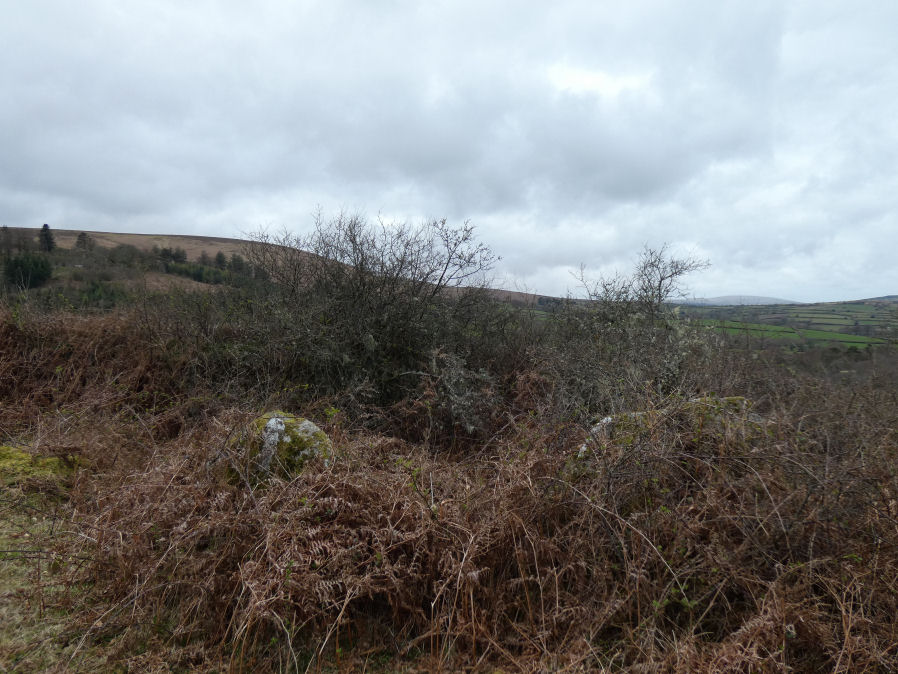 Vogwell Down 1 Round House