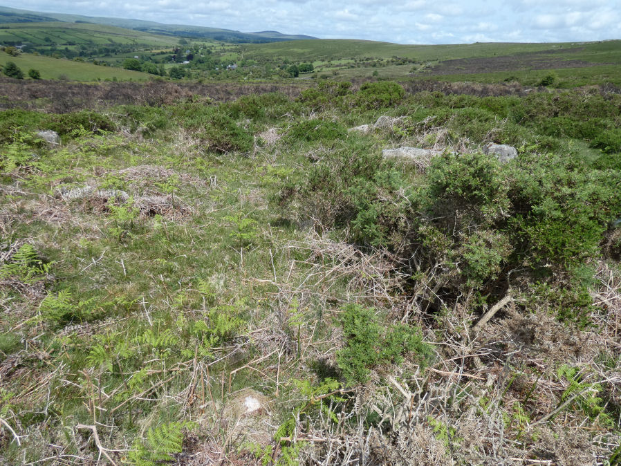 Yar Tor E Round House