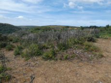 Brake Corner 2 Cairn
