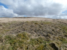 White Hill S.W.2 Cairn