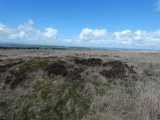 White Hill S.W.4 Cairn