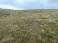 Langstone Moor 6 Clearance Cairn