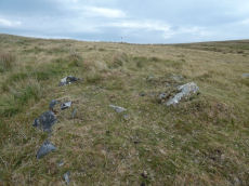Langstone Moor 5 Clearance Cairn