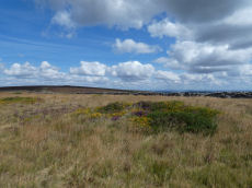 Blackaton Down S. Cairn