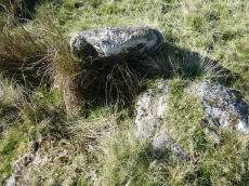 Crockern Tor 3 Reported Cist