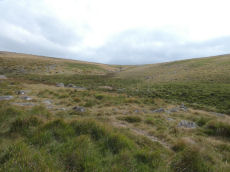Langstone Moor E. Enclosure