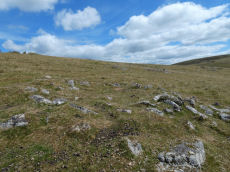 Langstone Moor Round House