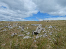 Langstone Moor Round House