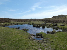 Saddle Tor B Ancient Pool