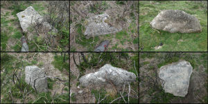 Cripdon Down Reported Stone Row